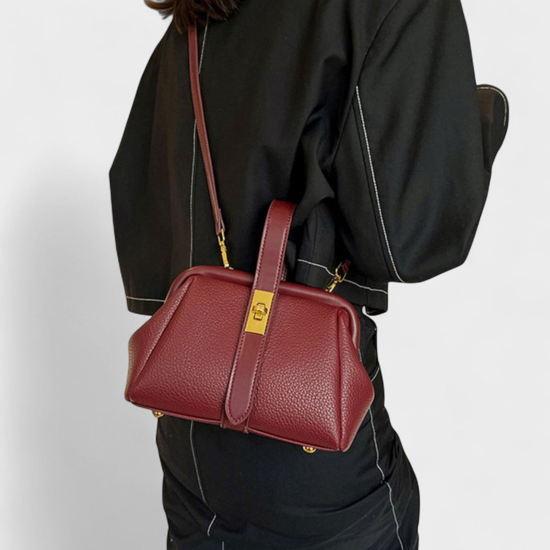 Daliborka - Retro Elegantna Torba